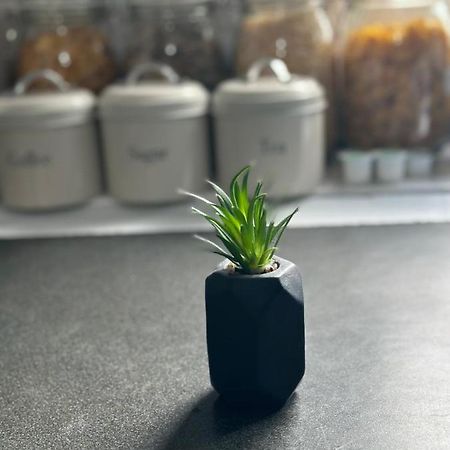 Modern Studio Close To Leeds City Centre 外观 照片